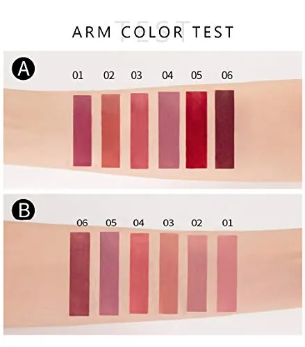 6Pcs Matte Long Lasting Non-Fade Liquid Lipstick Makeup Set, Nudes
