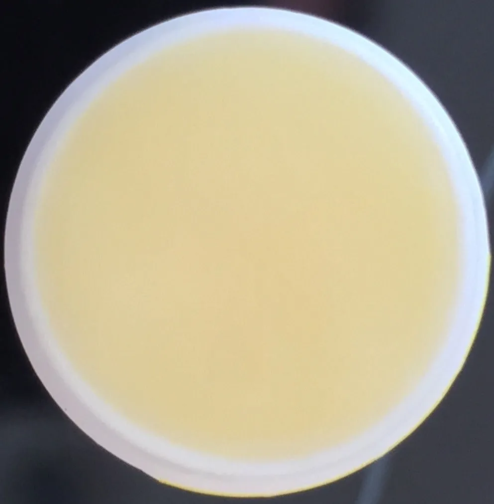 Banana Coconut Flavored Lip Balm Kissing Stick