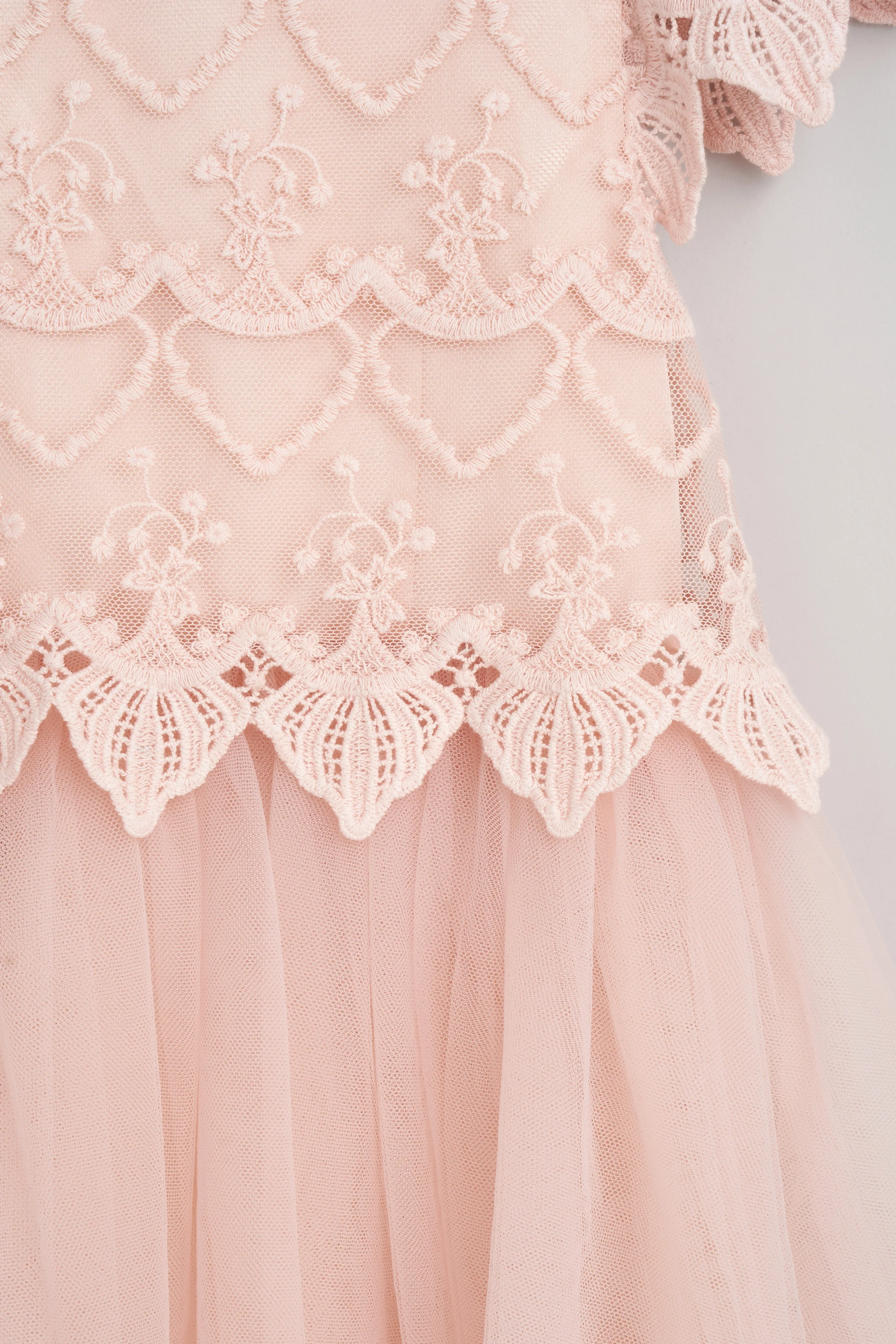Lucy Lace Blush Bodice Dress