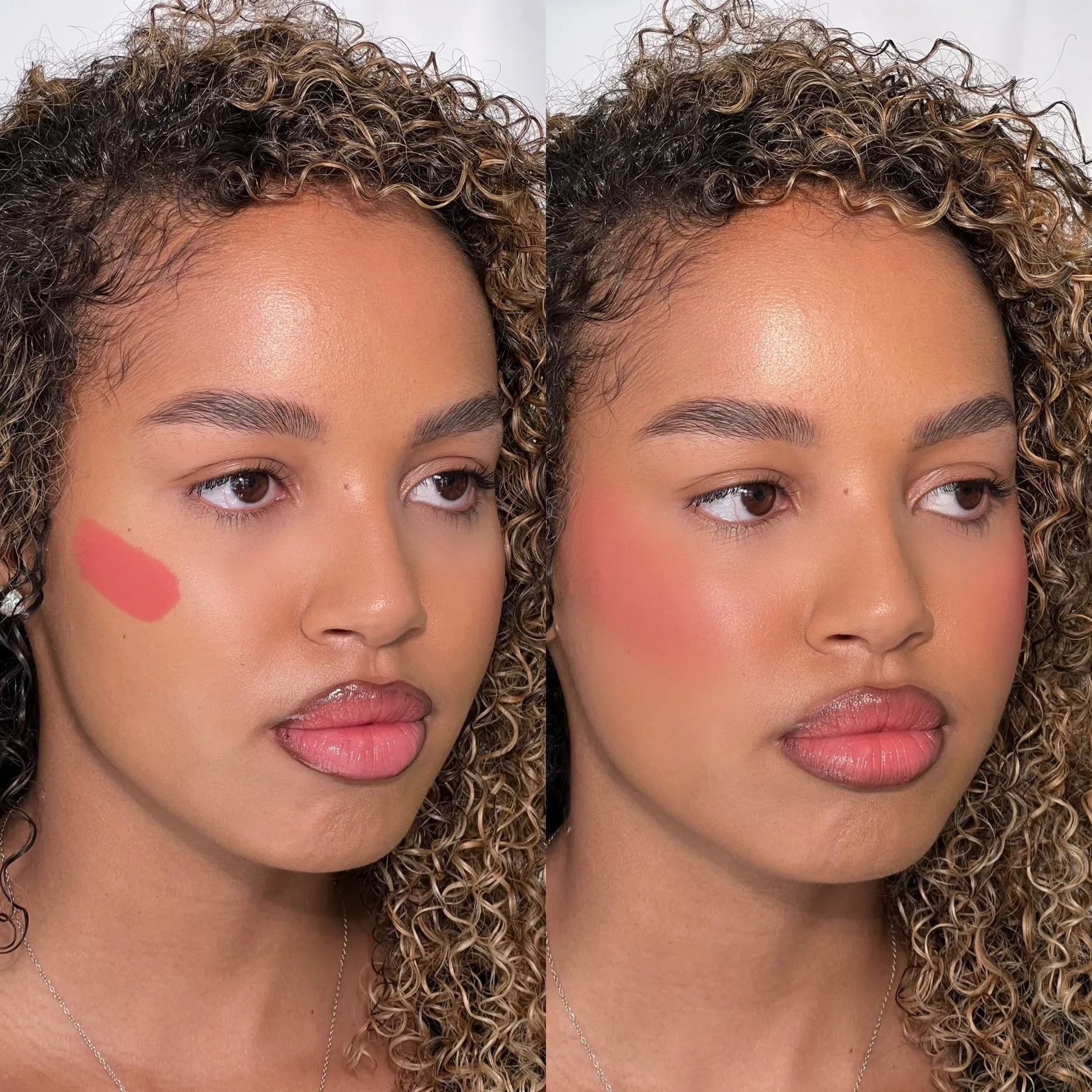 Multi Stick Blush - Cheek   Lip