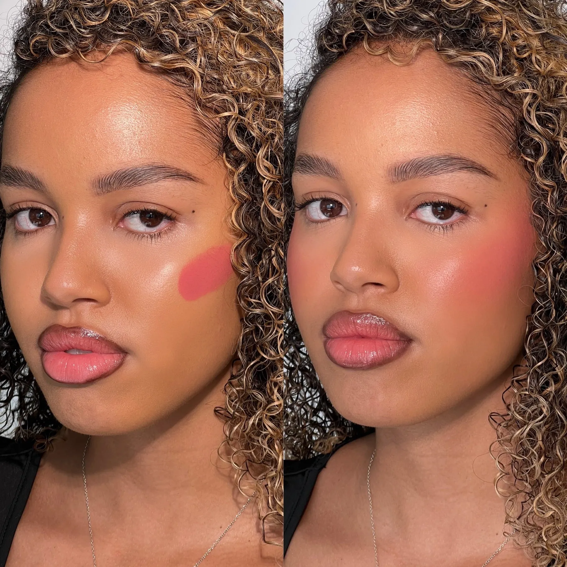 Multi Stick Blush - Cheek   Lip