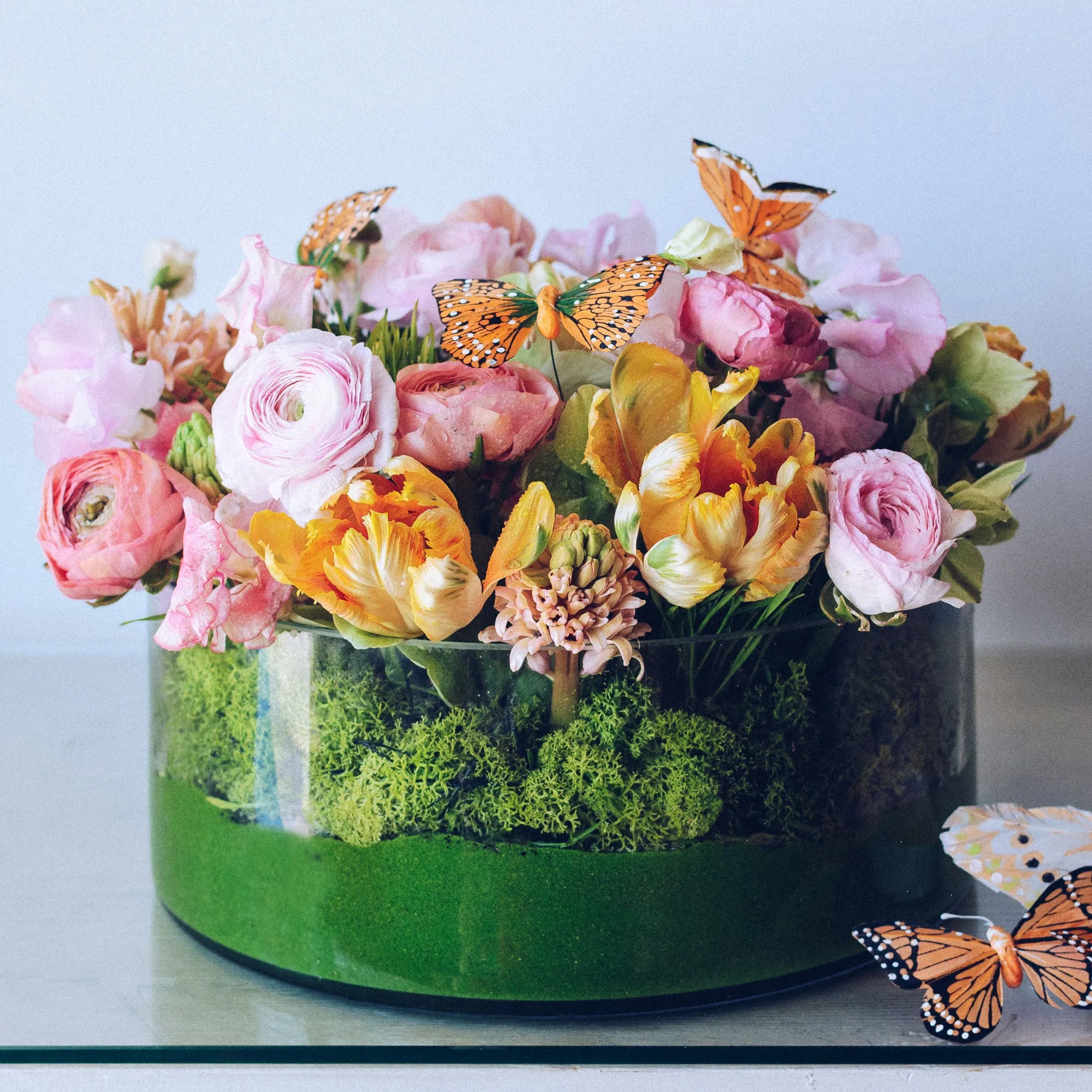 Spring Butterfly